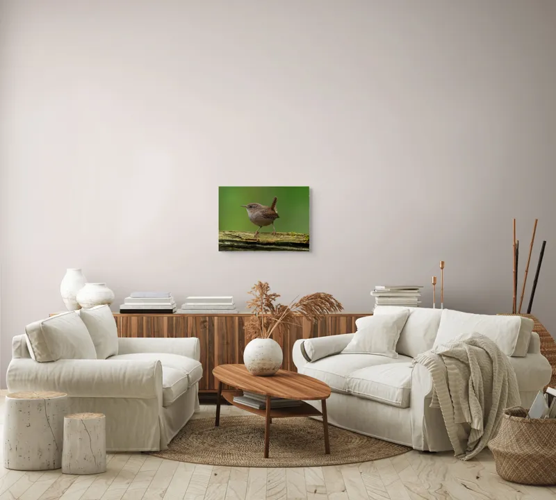 Tablou Canvas, "Micuta pasare pe crenguta verde", Pasăre, Creangă, Verdeață, Pene, Ochii, Cioc, Piciorușe, Coadă., 54 x 39 cm – poza 5