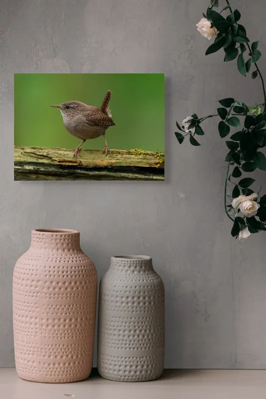 Tablou Canvas, "Micuta pasare pe crenguta verde", Pasăre, Creangă, Verdeață, Pene, Ochii, Cioc, Piciorușe, Coadă., 54 x 39 cm – poza 8