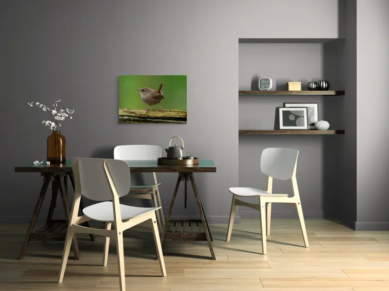 Tablou Canvas, "Micuta pasare pe crenguta verde", Pasăre, Creangă, Verdeață, Pene, Ochii, Cioc, Piciorușe, Coadă., 70 x 50 cm – poza 5