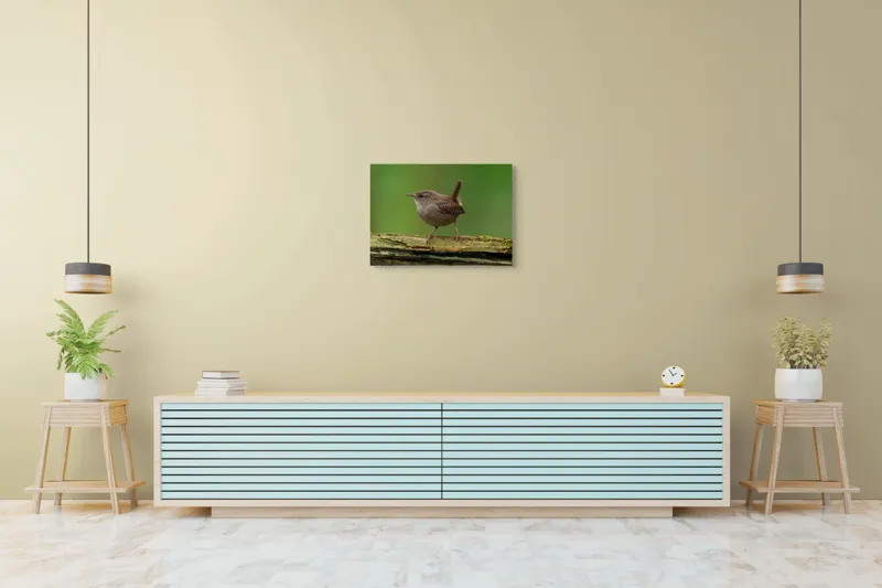 Tablou Canvas, "Micuta pasare pe crenguta verde", Pasăre, Creangă, Verdeață, Pene, Ochii, Cioc, Piciorușe, Coadă., 70 x 50 cm – poza 7
