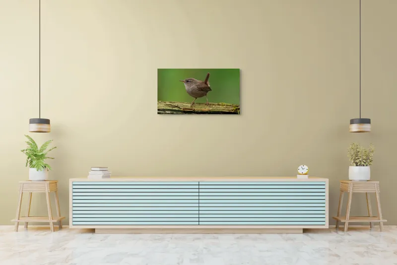 Tablou Canvas, "Micuta pasare pe crenguta verde", Pasăre, Creangă, Verdeață, Pene, Ochii, Cioc, Piciorușe, Coadă., 90 x 50 cm – poza 5