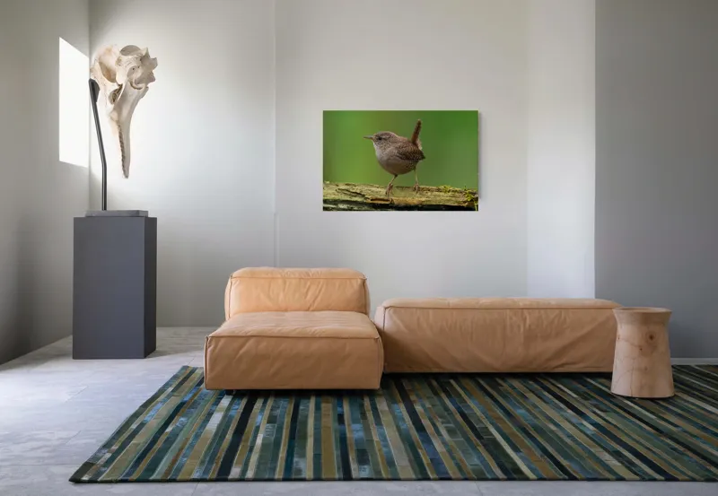 Tablou Canvas, "Micuta pasare pe crenguta verde", Pasăre, Creangă, Verdeață, Pene, Ochii, Cioc, Piciorușe, Coadă., 90 x 50 cm – poza 8