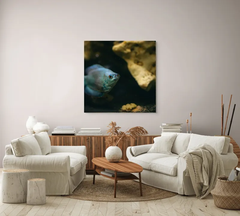 Tablou Canvas, "Peștișor albastru în adâncuri stâncoase", Pește, Albastru, Acvariu, Piatră, Apă, Înot, Lumină, Textură., 100 x 100 cm – poza 3