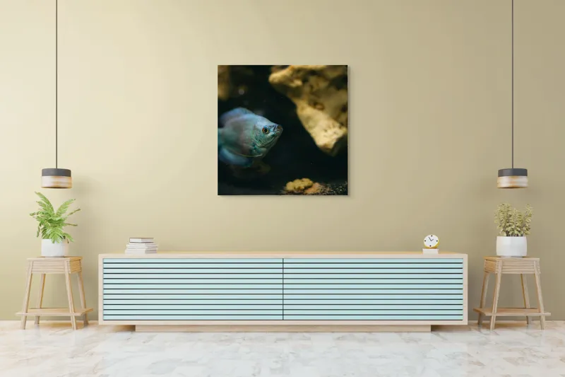 Tablou Canvas, "Peștișor albastru în adâncuri stâncoase", Pește, Albastru, Acvariu, Piatră, Apă, Înot, Lumină, Textură., 100 x 100 cm – poza 5