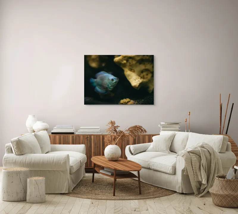 Tablou Canvas, "Peștișor albastru în adâncuri stâncoase", Pește, Albastru, Acvariu, Piatră, Apă, Înot, Lumină, Textură., 100 x 70 cm – poza 3