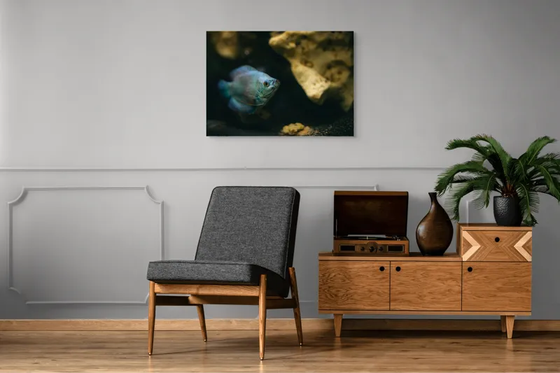 Tablou Canvas, "Peștișor albastru în adâncuri stâncoase", Pește, Albastru, Acvariu, Piatră, Apă, Înot, Lumină, Textură., 100 x 70 cm – poza 8