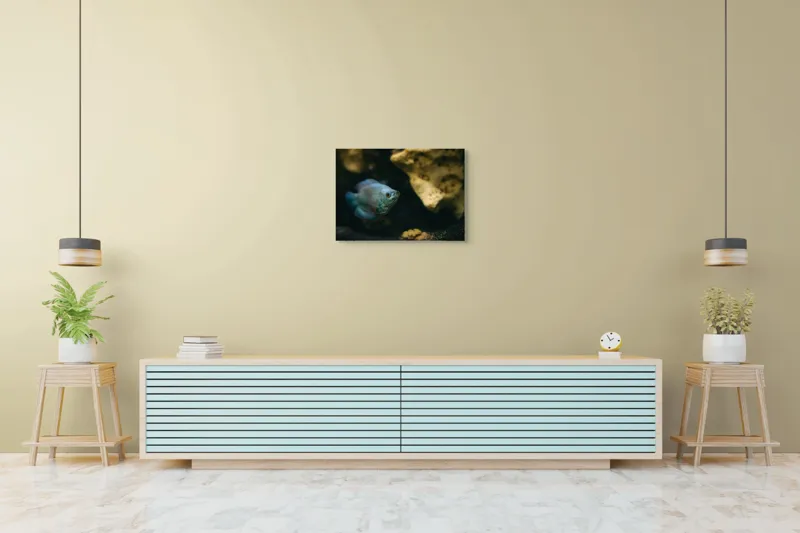 Tablou Canvas, "Peștișor albastru în adâncuri stâncoase", Pește, Albastru, Acvariu, Piatră, Apă, Înot, Lumină, Textură., 70 x 50 cm – poza 7