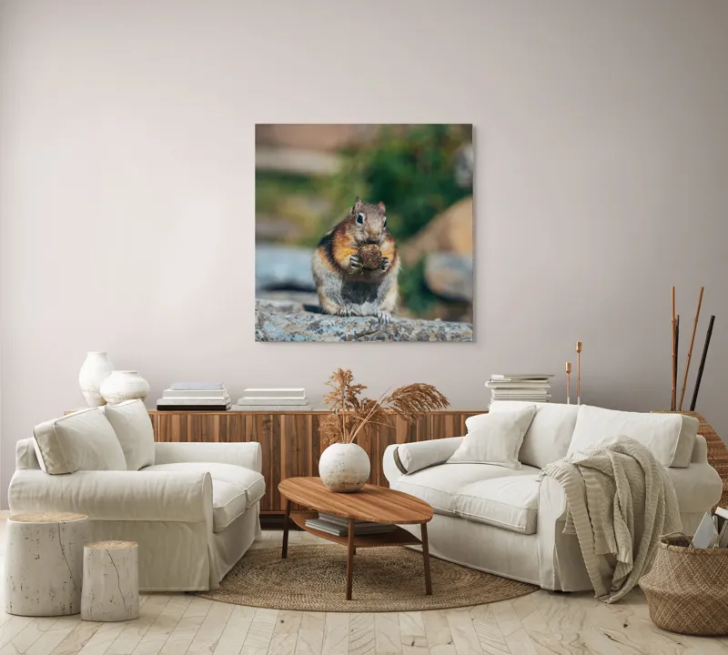 Tablou Canvas, "Veverița curajoasă savurând deliciul pufos", Veveriță, Piatră, Gustare, Blană, Privire, Natură, Roci, Focuser, Mâncare, Drăgălășenie, 100 x 100 cm – poza 3