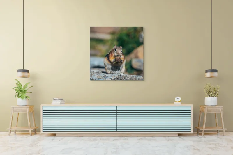 Tablou Canvas, "Veverița curajoasă savurând deliciul pufos", Veveriță, Piatră, Gustare, Blană, Privire, Natură, Roci, Focuser, Mâncare, Drăgălășenie, 100 x 100 cm – poza 5