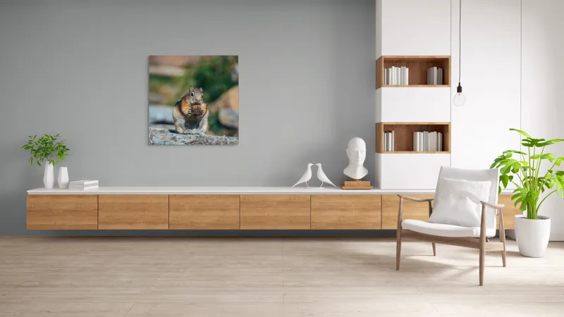 Tablou Canvas, "Veverița curajoasă savurând deliciul pufos", Veveriță, Piatră, Gustare, Blană, Privire, Natură, Roci, Focuser, Mâncare, Drăgălășenie, 100 x 100 cm – poza 8