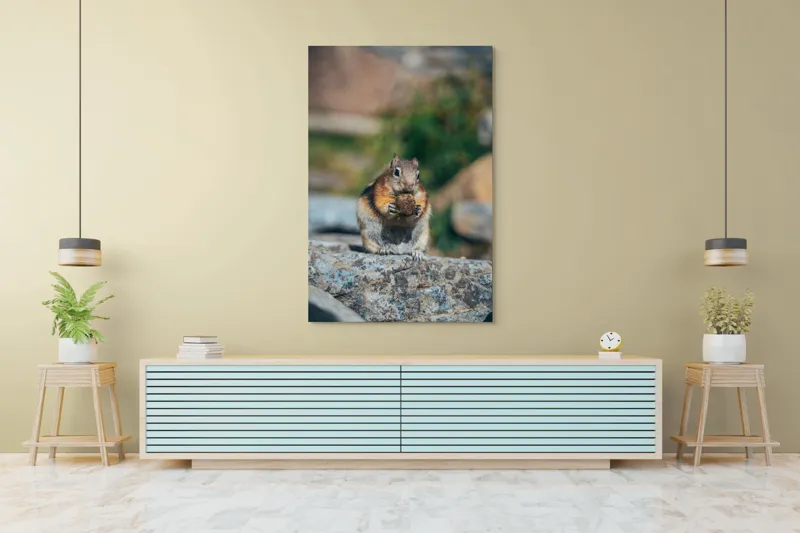 Tablou Canvas, "Veverița curajoasă savurând deliciul pufos", Veveriță, Piatră, Gustare, Blană, Privire, Natură, Roci, Focuser, Mâncare, Drăgălășenie, 100 x 150 cm – poza 4