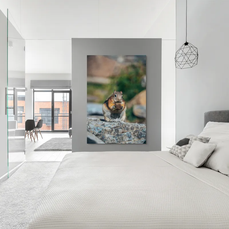 Tablou Canvas, "Veverița curajoasă savurând deliciul pufos", Veveriță, Piatră, Gustare, Blană, Privire, Natură, Roci, Focuser, Mâncare, Drăgălășenie, 100 x 150 cm – poza 5