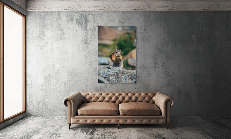 Tablou Canvas, "Veverița curajoasă savurând deliciul pufos", Veveriță, Piatră, Gustare, Blană, Privire, Natură, Roci, Focuser, Mâncare, Drăgălășenie, 100 x 150 cm – poza 6