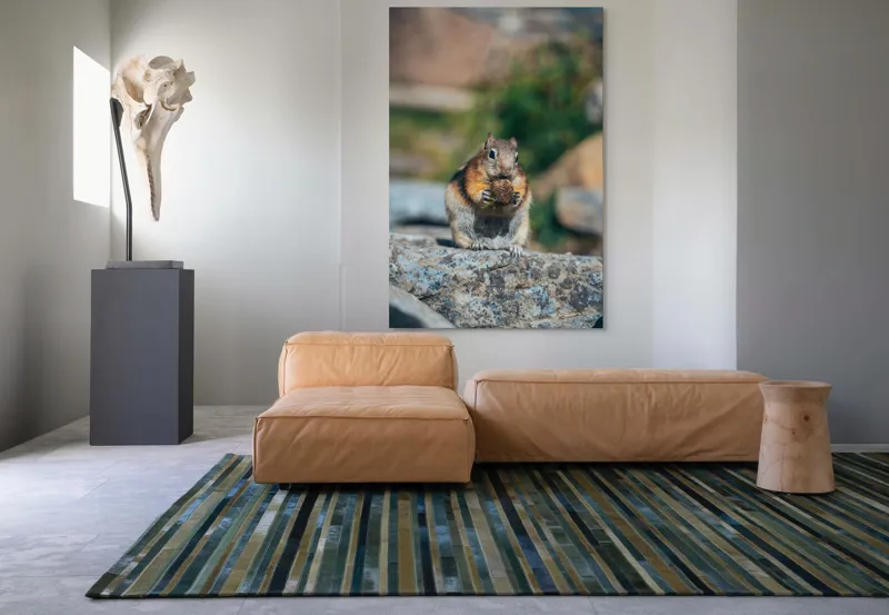 Tablou Canvas, "Veverița curajoasă savurând deliciul pufos", Veveriță, Piatră, Gustare, Blană, Privire, Natură, Roci, Focuser, Mâncare, Drăgălășenie, 100 x 150 cm – poza 7