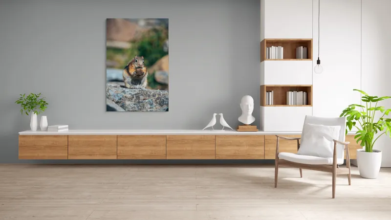 Tablou Canvas, "Veverița curajoasă savurând deliciul pufos", Veveriță, Piatră, Gustare, Blană, Privire, Natură, Roci, Focuser, Mâncare, Drăgălășenie, 100 x 150 cm – poza 8