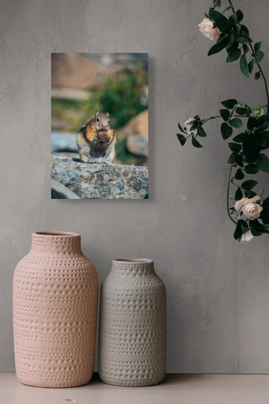 Tablou Canvas, "Veverița curajoasă savurând deliciul pufos", Veveriță, Piatră, Gustare, Blană, Privire, Natură, Roci, Focuser, Mâncare, Drăgălășenie, 26 x 39 cm – poza 6
