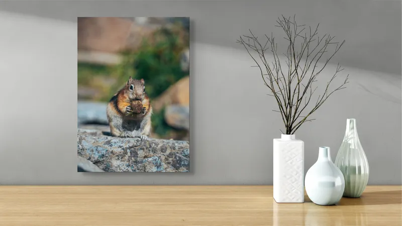 Tablou Canvas, "Veverița curajoasă savurând deliciul pufos", Veveriță, Piatră, Gustare, Blană, Privire, Natură, Roci, Focuser, Mâncare, Drăgălășenie, 39 x 54 cm – poza 4