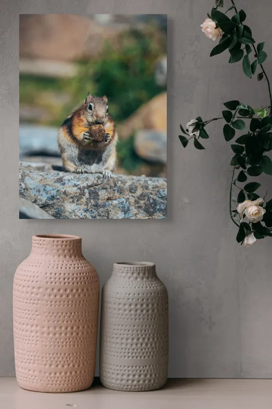 Tablou Canvas, "Veverița curajoasă savurând deliciul pufos", Veveriță, Piatră, Gustare, Blană, Privire, Natură, Roci, Focuser, Mâncare, Drăgălășenie, 39 x 54 cm – poza 6