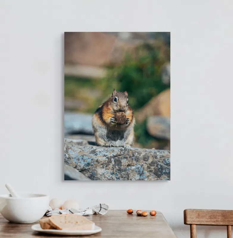 Tablou Canvas, "Veverița curajoasă savurând deliciul pufos", Veveriță, Piatră, Gustare, Blană, Privire, Natură, Roci, Focuser, Mâncare, Drăgălășenie, 50 x 70 cm – poza 3