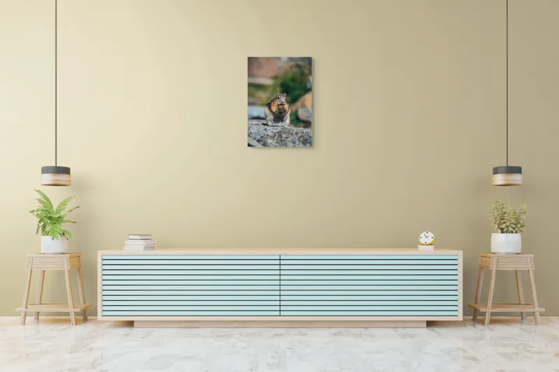 Tablou Canvas, "Veverița curajoasă savurând deliciul pufos", Veveriță, Piatră, Gustare, Blană, Privire, Natură, Roci, Focuser, Mâncare, Drăgălășenie, 50 x 70 cm – poza 6