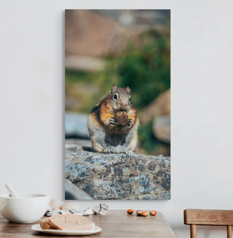 Tablou Canvas, "Veverița curajoasă savurând deliciul pufos", Veveriță, Piatră, Gustare, Blană, Privire, Natură, Roci, Focuser, Mâncare, Drăgălășenie, 50 x 90 cm – poza 3