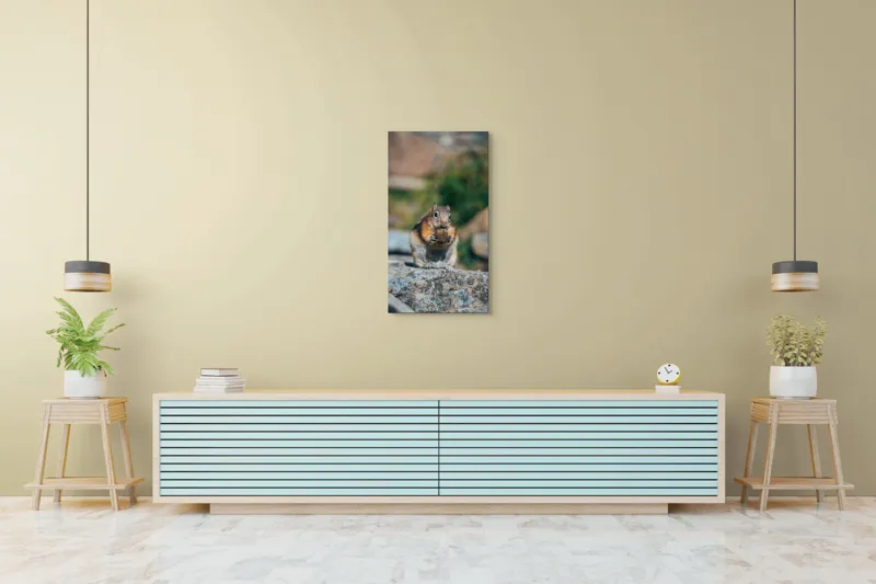 Tablou Canvas, "Veverița curajoasă savurând deliciul pufos", Veveriță, Piatră, Gustare, Blană, Privire, Natură, Roci, Focuser, Mâncare, Drăgălășenie, 50 x 90 cm – poza 6