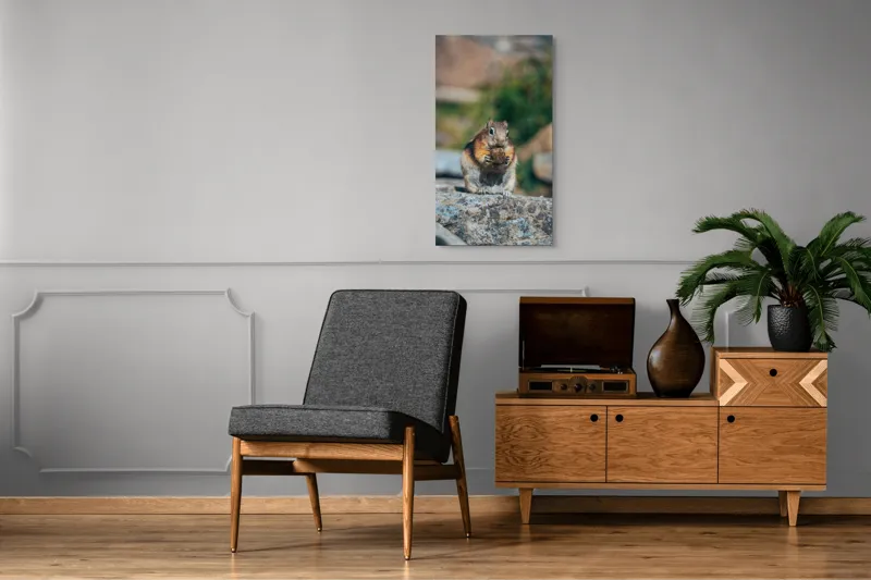 Tablou Canvas, "Veverița curajoasă savurând deliciul pufos", Veveriță, Piatră, Gustare, Blană, Privire, Natură, Roci, Focuser, Mâncare, Drăgălășenie, 50 x 90 cm – poza 8