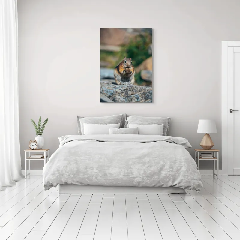 Tablou Canvas, "Veverița curajoasă savurând deliciul pufos", Veveriță, Piatră, Gustare, Blană, Privire, Natură, Roci, Focuser, Mâncare, Drăgălășenie, 70 x 100 cm – poza 3