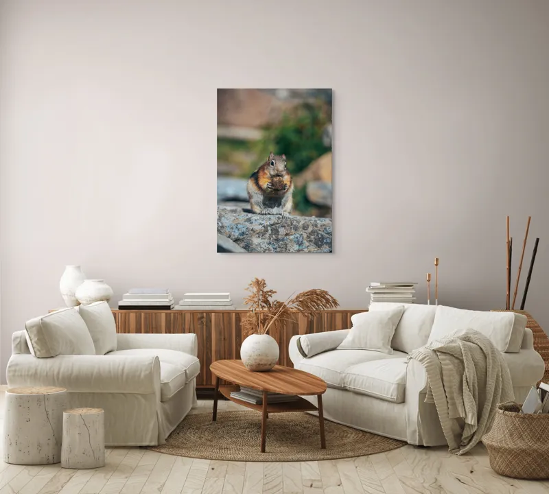 Tablou Canvas, "Veverița curajoasă savurând deliciul pufos", Veveriță, Piatră, Gustare, Blană, Privire, Natură, Roci, Focuser, Mâncare, Drăgălășenie, 70 x 100 cm – poza 4
