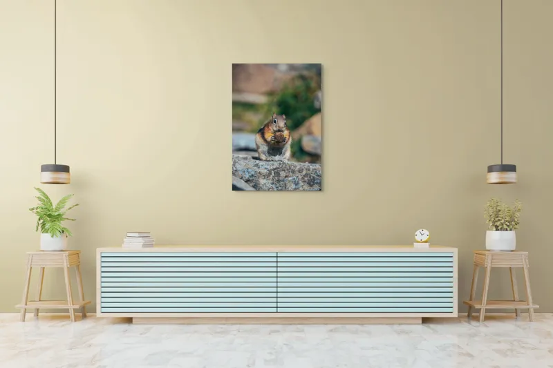 Tablou Canvas, "Veverița curajoasă savurând deliciul pufos", Veveriță, Piatră, Gustare, Blană, Privire, Natură, Roci, Focuser, Mâncare, Drăgălășenie, 70 x 100 cm – poza 5