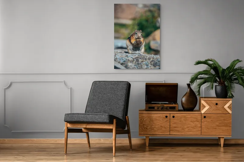 Tablou Canvas, "Veverița curajoasă savurând deliciul pufos", Veveriță, Piatră, Gustare, Blană, Privire, Natură, Roci, Focuser, Mâncare, Drăgălășenie, 70 x 100 cm – poza 6