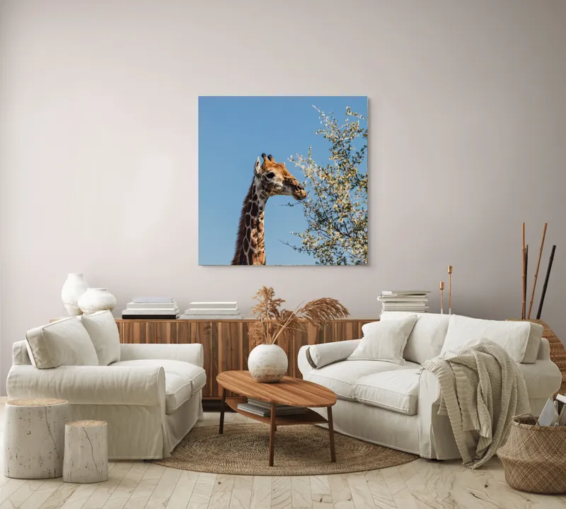Tablou Canvas, "Giraful vesel sub cerul albastru", Giraffe, Tree, Feeding, Sky, Leaves, Nature, Wildlife, 100 x 100 cm – poza 3