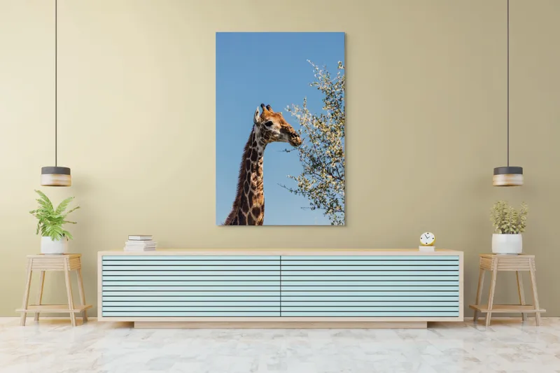 Tablou Canvas, "Giraful vesel sub cerul albastru", Giraffe, Tree, Feeding, Sky, Leaves, Nature, Wildlife, 100 x 150 cm – poza 4