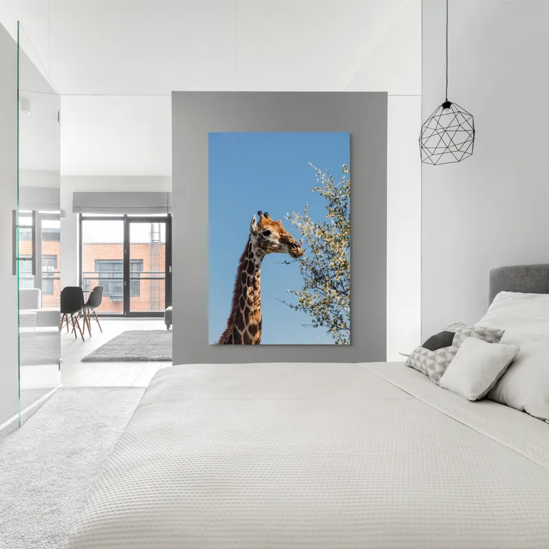 Tablou Canvas, "Giraful vesel sub cerul albastru", Giraffe, Tree, Feeding, Sky, Leaves, Nature, Wildlife, 100 x 150 cm – poza 5