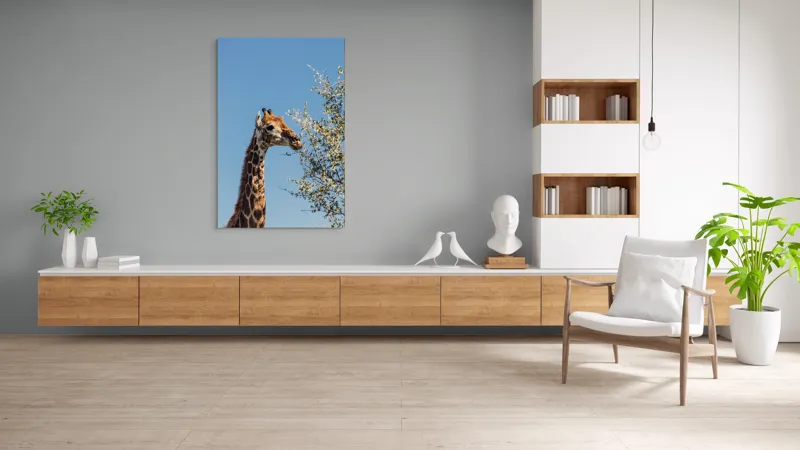 Tablou Canvas, "Giraful vesel sub cerul albastru", Giraffe, Tree, Feeding, Sky, Leaves, Nature, Wildlife, 100 x 150 cm – poza 8
