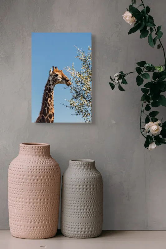 Tablou Canvas, "Giraful vesel sub cerul albastru", Giraffe, Tree, Feeding, Sky, Leaves, Nature, Wildlife, 26 x 39 cm – poza 6