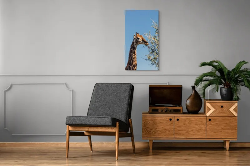 Tablou Canvas, "Giraful vesel sub cerul albastru", Giraffe, Tree, Feeding, Sky, Leaves, Nature, Wildlife, 50 x 90 cm – poza 8