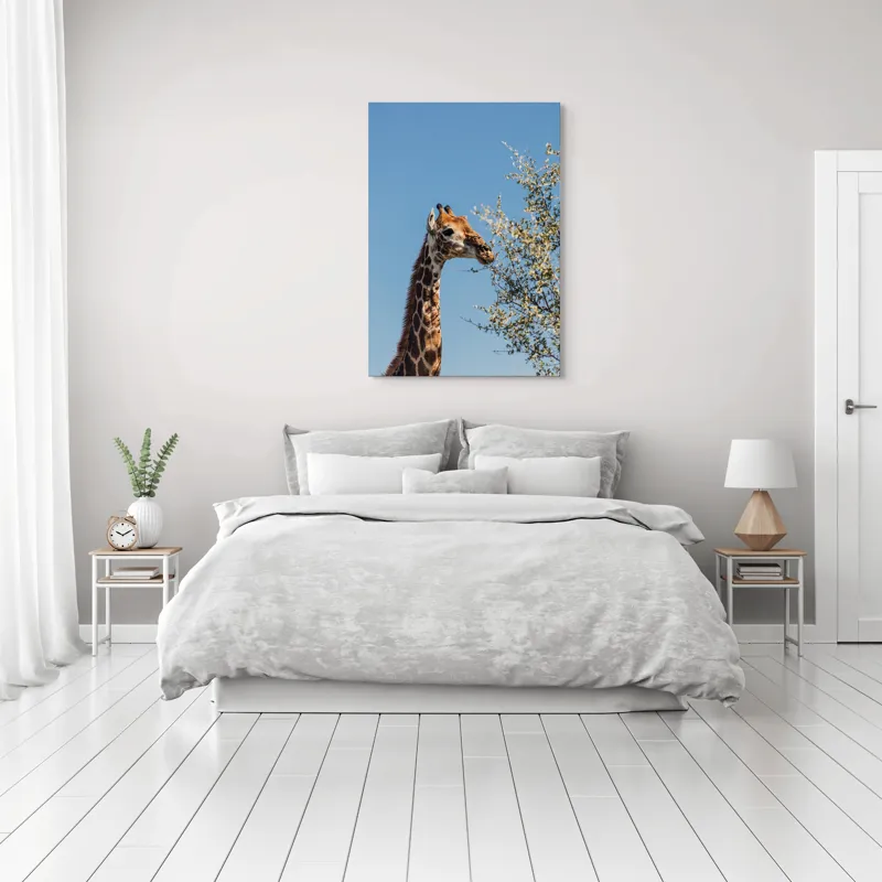 Tablou Canvas, "Giraful vesel sub cerul albastru", Giraffe, Tree, Feeding, Sky, Leaves, Nature, Wildlife, 70 x 100 cm – poza 3