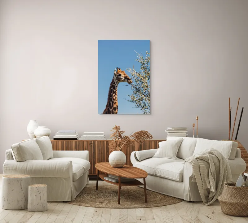 Tablou Canvas, "Giraful vesel sub cerul albastru", Giraffe, Tree, Feeding, Sky, Leaves, Nature, Wildlife, 70 x 100 cm – poza 4