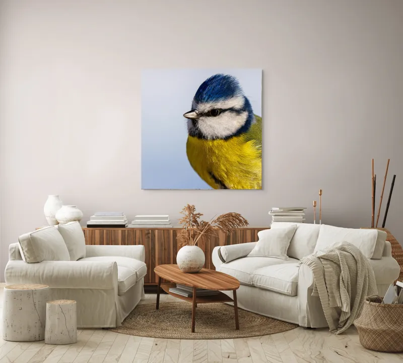 Tablou Canvas, "Albastrul cerului pe aripi delicate", Albastru, Galben, Delicat, Natură, Pene, Viu, Ochi, Contrast, Plăcut, Armonios, 100 x 100 cm – poza 3