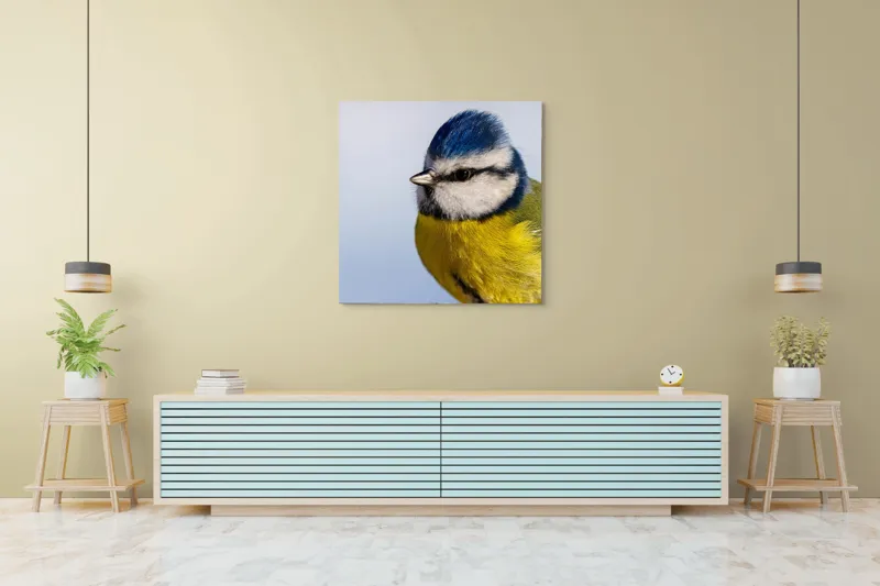 Tablou Canvas, "Albastrul cerului pe aripi delicate", Albastru, Galben, Delicat, Natură, Pene, Viu, Ochi, Contrast, Plăcut, Armonios, 100 x 100 cm – poza 5