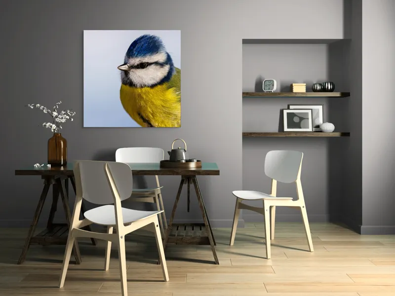 Tablou Canvas, "Albastrul cerului pe aripi delicate", Albastru, Galben, Delicat, Natură, Pene, Viu, Ochi, Contrast, Plăcut, Armonios, 100 x 100 cm – poza 6