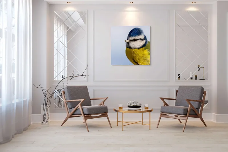 Tablou Canvas, "Albastrul cerului pe aripi delicate", Albastru, Galben, Delicat, Natură, Pene, Viu, Ochi, Contrast, Plăcut, Armonios, 100 x 100 cm – poza 7