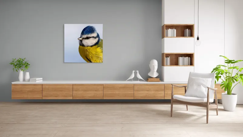 Tablou Canvas, "Albastrul cerului pe aripi delicate", Albastru, Galben, Delicat, Natură, Pene, Viu, Ochi, Contrast, Plăcut, Armonios, 100 x 100 cm – poza 8