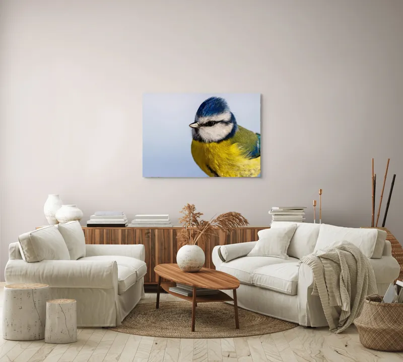 Tablou Canvas, "Albastrul cerului pe aripi delicate", Albastru, Galben, Delicat, Natură, Pene, Viu, Ochi, Contrast, Plăcut, Armonios, 100 x 70 cm – poza 3