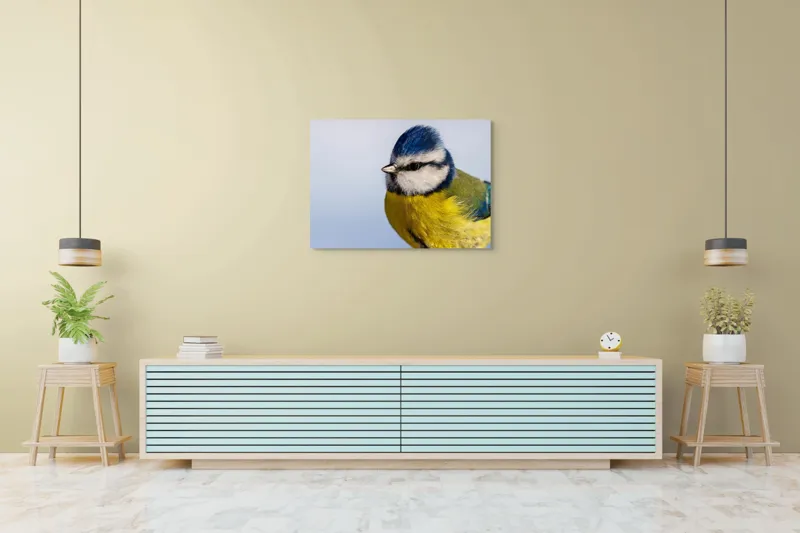 Tablou Canvas, "Albastrul cerului pe aripi delicate", Albastru, Galben, Delicat, Natură, Pene, Viu, Ochi, Contrast, Plăcut, Armonios, 100 x 70 cm – poza 4