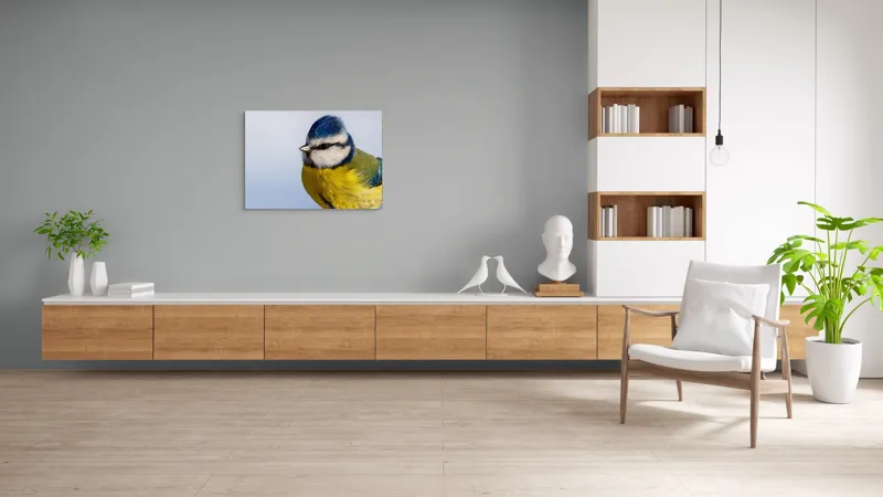 Tablou Canvas, "Albastrul cerului pe aripi delicate", Albastru, Galben, Delicat, Natură, Pene, Viu, Ochi, Contrast, Plăcut, Armonios, 100 x 70 cm – poza 6