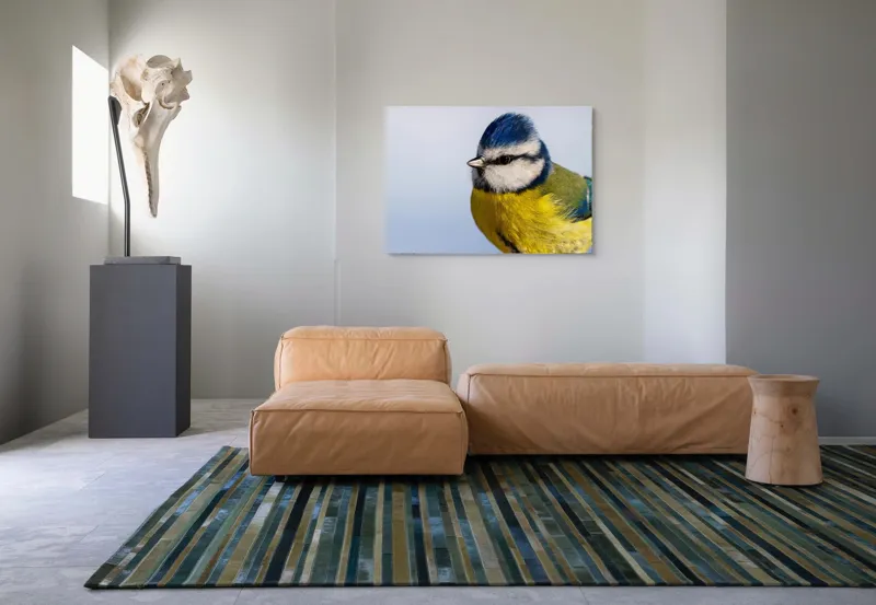 Tablou Canvas, "Albastrul cerului pe aripi delicate", Albastru, Galben, Delicat, Natură, Pene, Viu, Ochi, Contrast, Plăcut, Armonios, 100 x 70 cm – poza 7