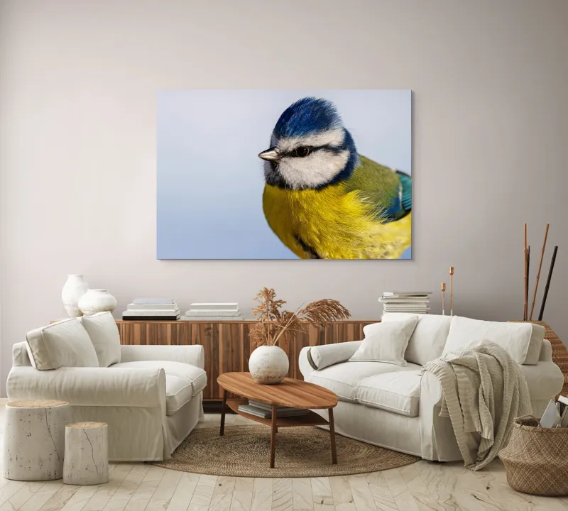 Tablou Canvas, "Albastrul cerului pe aripi delicate", Albastru, Galben, Delicat, Natură, Pene, Viu, Ochi, Contrast, Plăcut, Armonios, 150 x 100 cm – poza 3