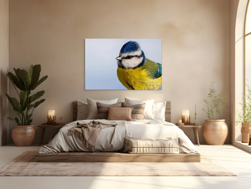 Tablou Canvas, "Albastrul cerului pe aripi delicate", Albastru, Galben, Delicat, Natură, Pene, Viu, Ochi, Contrast, Plăcut, Armonios, 150 x 100 cm – poza 4